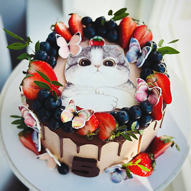 Торт "Котенок" купить - орехово-зуево.сладкоежкин.рф